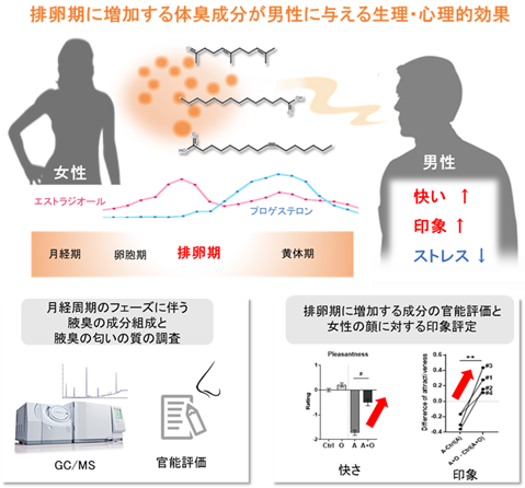 好感度を左右する香り――サイエンスが突き止めた3つの天然成分