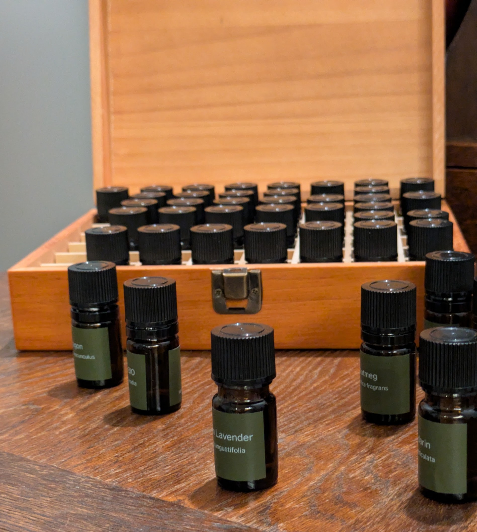 なぜ、あなたの「好き」はSOWベーシッククラスで「才能」に変わるのか？