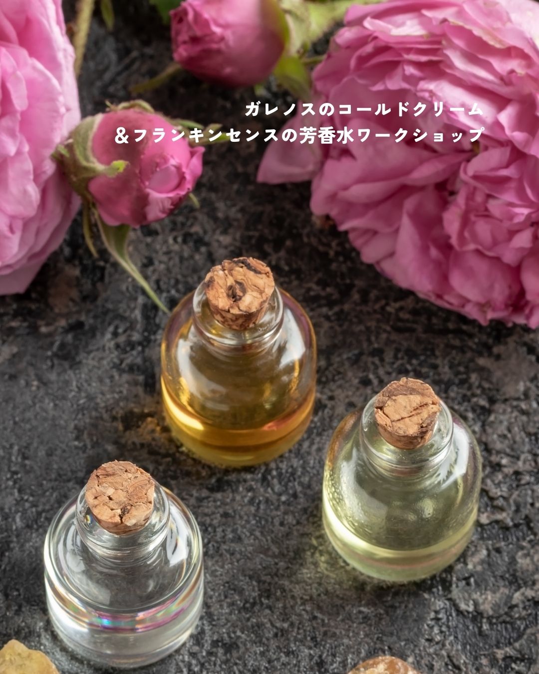 12月7日〇ガレノスの秘密　2000年の時を超えた美の処方