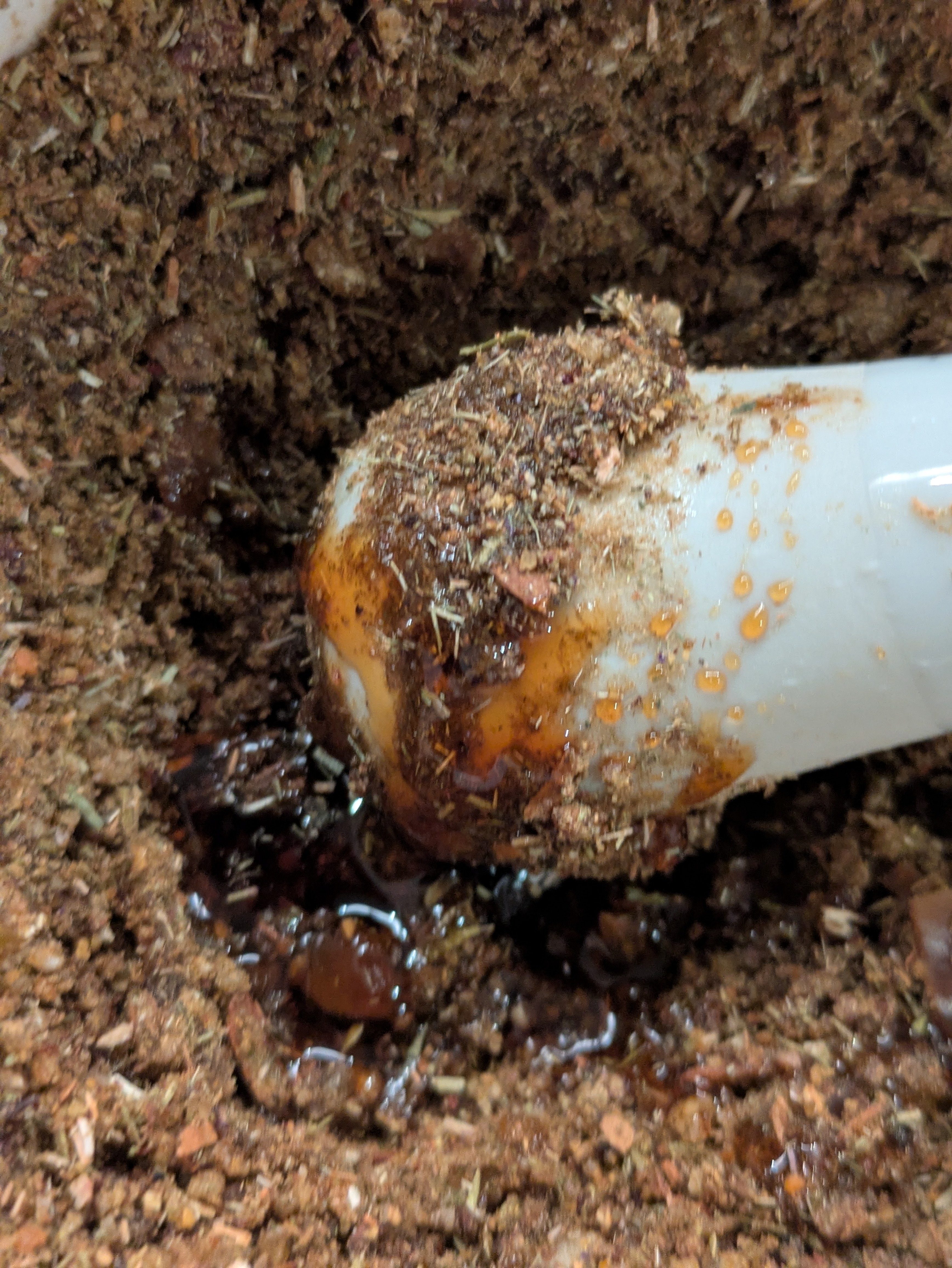 古代エジプトの聖なる香り作り ―― 蝋梅の花びらを纏うキフィ Workshop